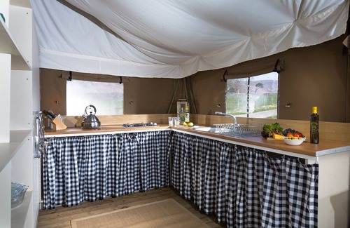 Preston Cabin | Plover at Bleasdale, Lancashire
