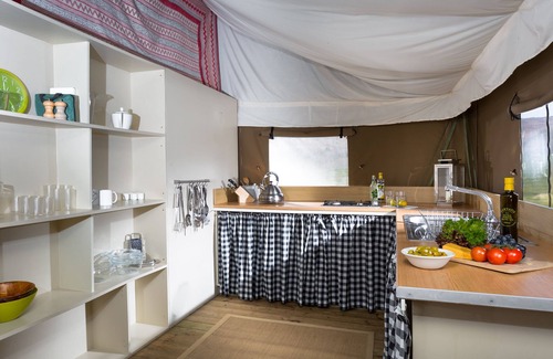 Preston Cabin | Plover at Bleasdale, Lancashire