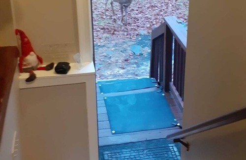 Pocono Mountain Lake House | Poconos · Cozy Modern Lodge with Lake Views/Huge Deck/Hottub/Fireplace