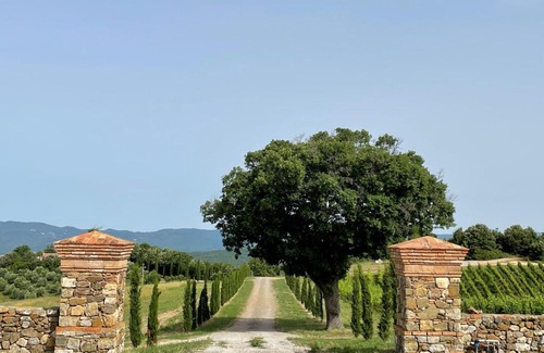 Massa Marittima Apartment | Podere Aurora