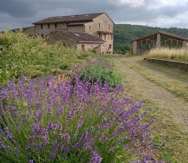 Rapale Apartment | Podere Biricocolo - Il Cortile