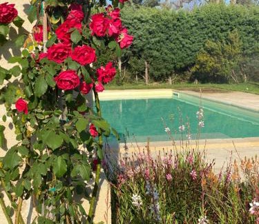 Leverano Villa | Podere Corda di Lana