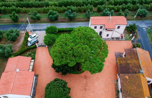 Castagneto Carducci House | Podere 'I Daini' - App. d