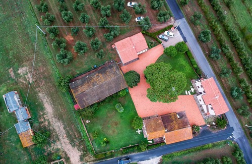 Castagneto Carducci House | Podere 'I Daini' - App. d