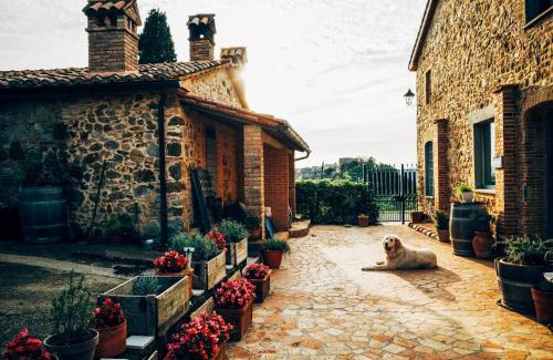 Trevinano Bed & Breakfast | Podere Orto Wine Country House