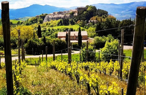 Trevinano Bed & Breakfast | Podere Orto Wine Country House