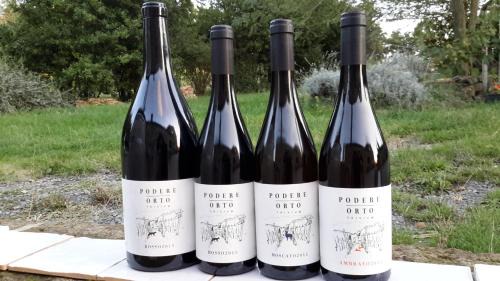 Trevinano Bed & Breakfast | Podere Orto Wine Country House