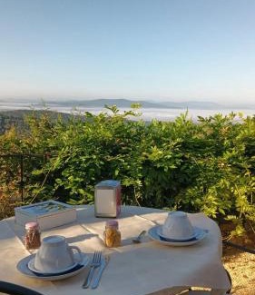 Castellina in Chianti House | Podere Palazzolo (ADULTS ONLY)