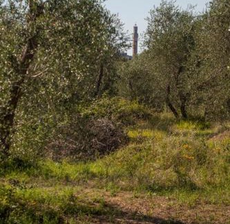Siena House | Podere Piazza Casa dell'Arcivescovo