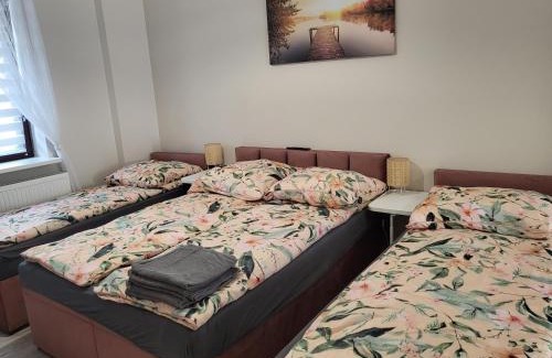 Zyrardow Apartment | Pokój z własną kuchnią i łazienką Żyrardów SUNTAGO