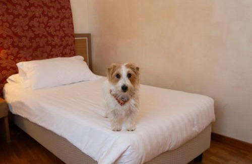 San Vittore Olona Hotel | Poli Hotel