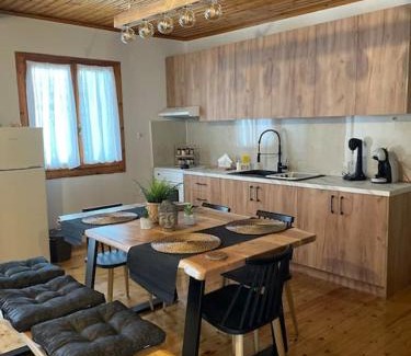 Vassiliki Apartment | Politis' wooden house