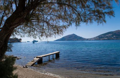 Alinda House | Polixeni's House