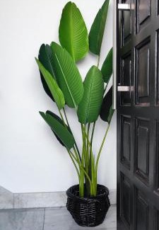 San Juan de la Rambla Villa | Poncio Home