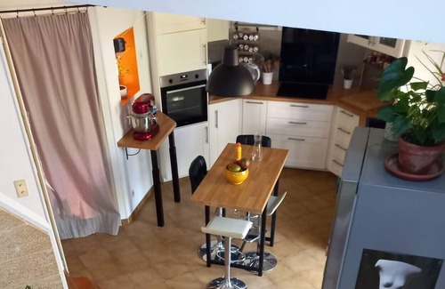 Clermont-l'Herault House | pool and olive trees