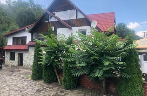 Cartisoara House | Popas Balea Rau