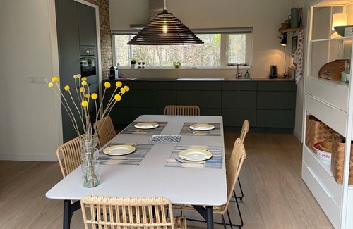 Nieuw-Haamstede House | Populierenlaan 3 holiday villa with privacy quiet and nature