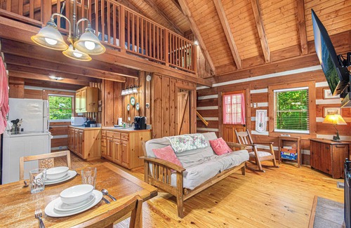 Townsend Cabin | Porch Swing, Jacuzzi Tub, Wi-Fi, Dogs ok, near NP