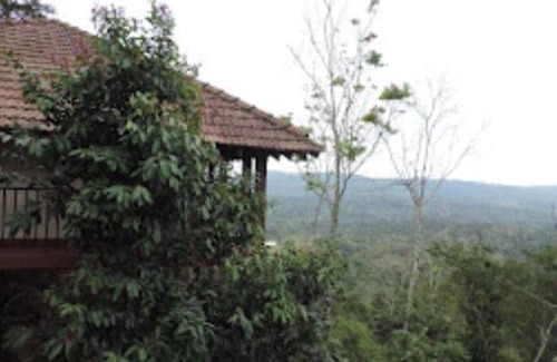 Polibetta Resort | Porcupine Castle Resort Coorg, Pollibetta