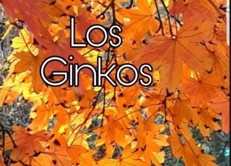 Villa General Belgrano Ski Chalet | Posada del Halcón - Cabañas y Suites