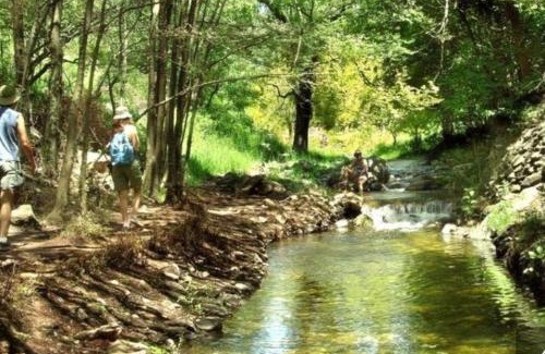 Villa General Belgrano Ski Chalet | Posada del Halcón - Cabañas y Suites