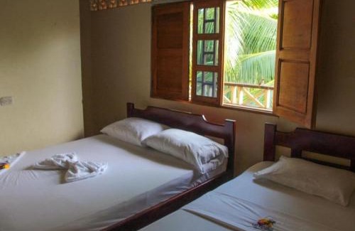 Bahia Solano House | Posada Las Palmeras