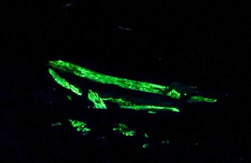 Nuqui House | Posada Nativa sol y mar