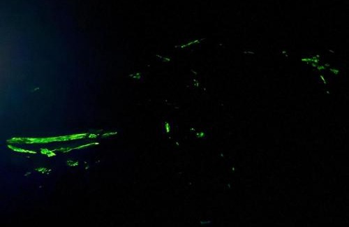 Nuqui House | Posada Nativa sol y mar