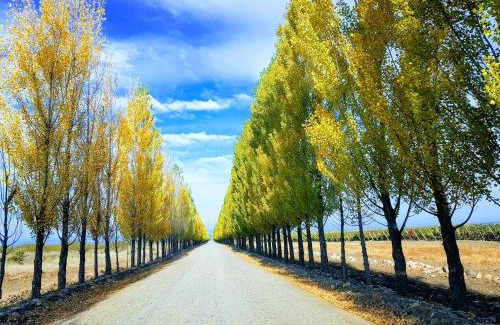 Los Arboles Hotel | Posada Salentein