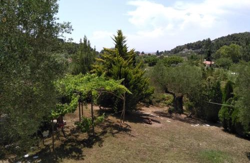 Kassandra House | Possidi family house