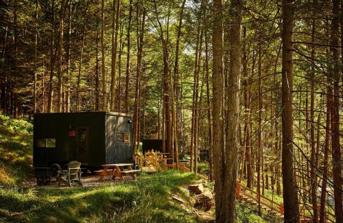 Ottawa Other | Postcard Cabins Starved Rock, Outdoor Collection by Marriott Bonvoy