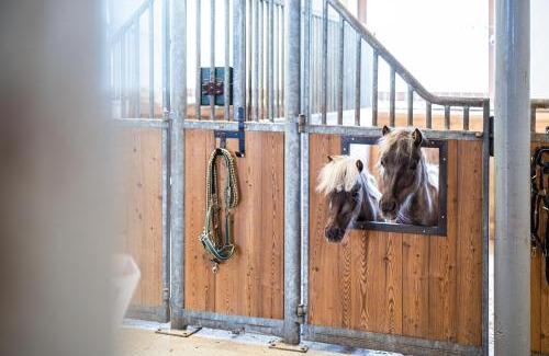 Campo di Trens Apartment | Posthof - Alpine Living Apartments