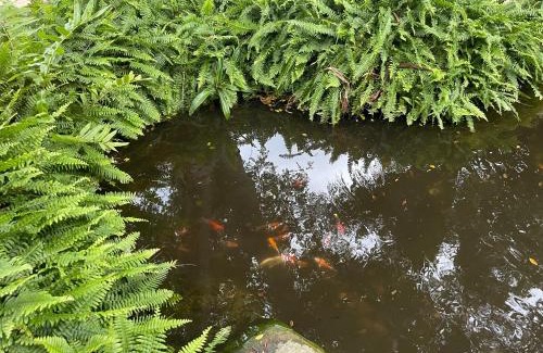 Cabo Frio Hotel | Pousada Bon Vivant