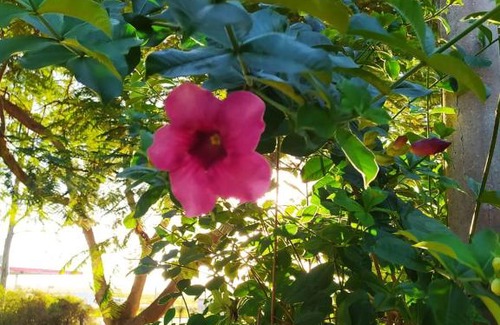 Caravelas Hotel | Pousada Campos de Búzios