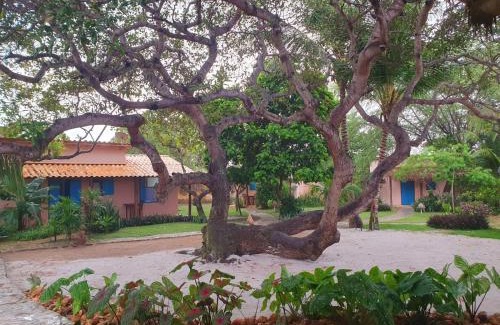 Sao Miguel de Touros Hotel | Pousada Chica Pitanga
