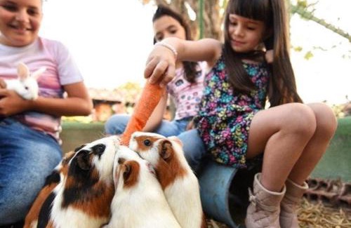 Saire Hotel | Pousada Fazenda Santa Fe