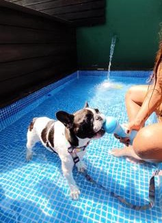 Maresias Hotel | Pousada Pura Vida Maresias