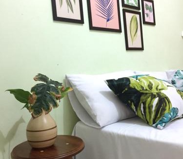 Santo Amaro do Maranhao Hotel | Pousada Rio Alegre