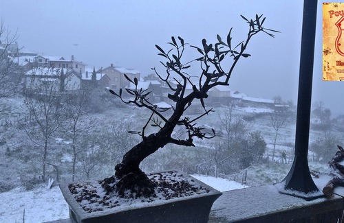 Castro Daire Apartment | Pouso da Serra Family Suite Rural Lodging