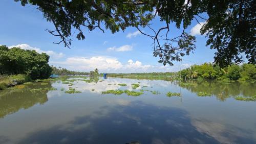 Vypin Villa | Pradeep's Backwater Villa