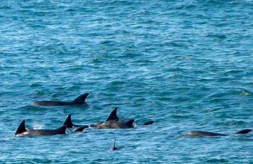 Quigney Beach Hotel | Premier Hotel Regent