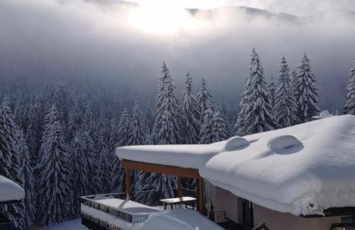 Reichenau Apartment | Premium apartment in ski area Bad Kleinkirchheim