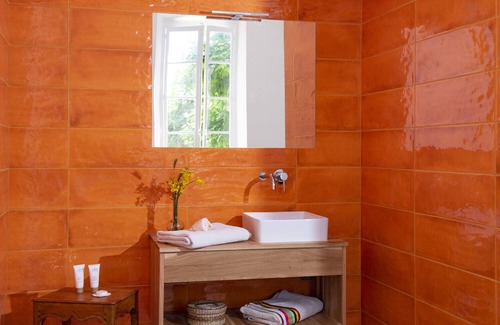 Brue-Auriac Other | Prestige rental 300 m2 in Chateau in Provence with swimming pool, hammam, sauna