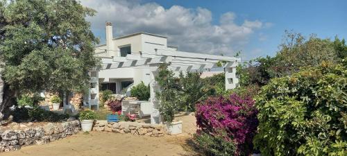 L'Assunta Villa | Prestigiosa villa con piscina condominiale