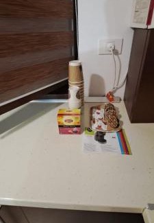 Sector 4 Apartment | Pretty House
