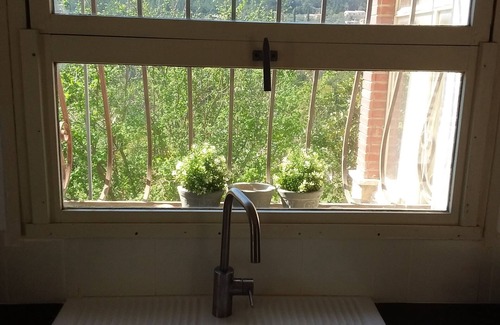 Cotignac House | Price PROMO House Cotignac 6 pers bright beautiful garden view, all inclusive price!