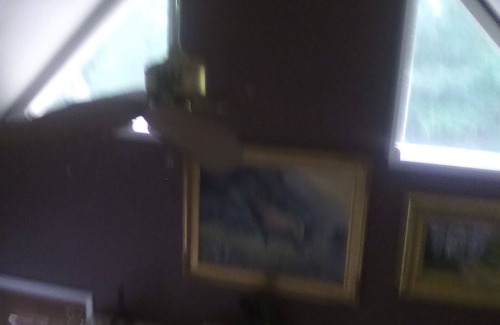 Hiawassee Cabin | Primitive Cozy Cabin