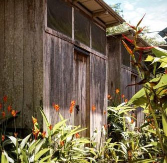 Bahia Solano House | PRIMITIVO LODGE & dive center