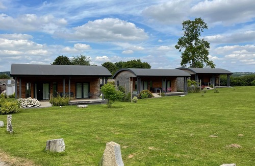 Cannards Grave House | Primrose