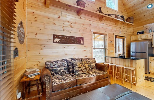 Murphy House | Private 1BR Cabin In Murphy with Mountain Views, Wifi, and Full Kitchen